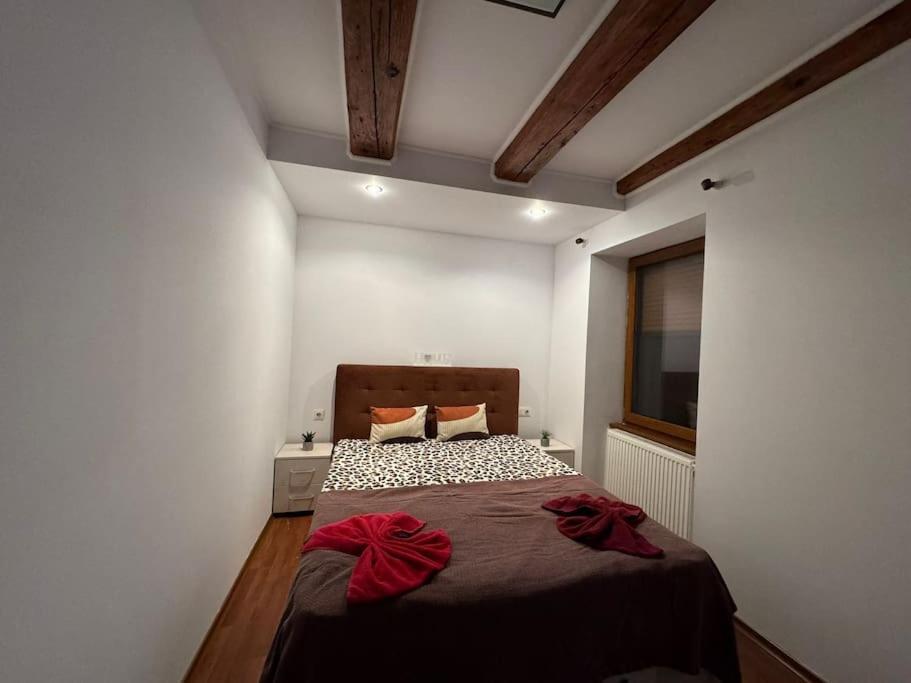 Iazi Apartament Braşov Esterno foto