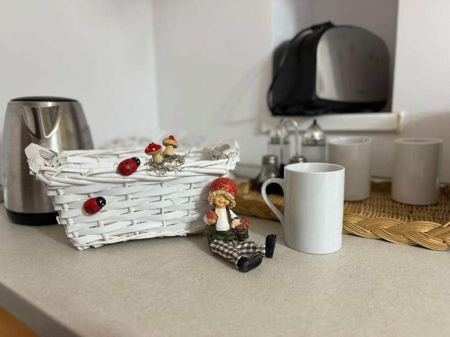 Iazi Apartament Braşov Esterno foto
