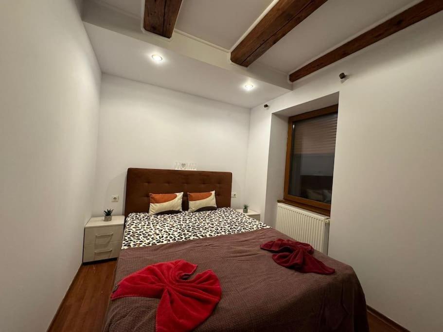Iazi Apartament Braşov Esterno foto