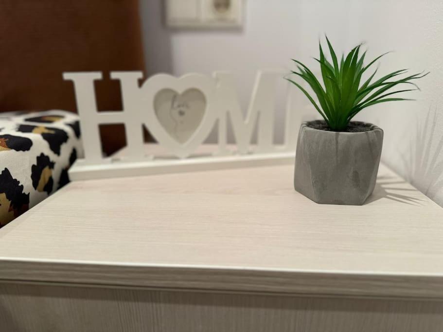 Iazi Apartament Braşov Esterno foto